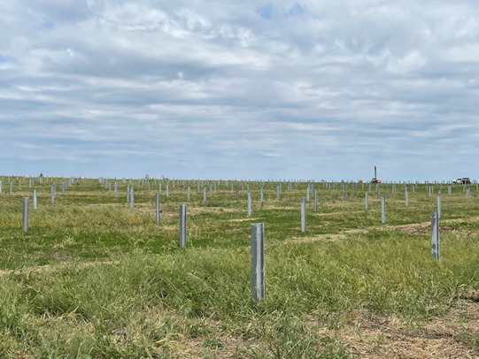 Rock Creek Solar Farm Control